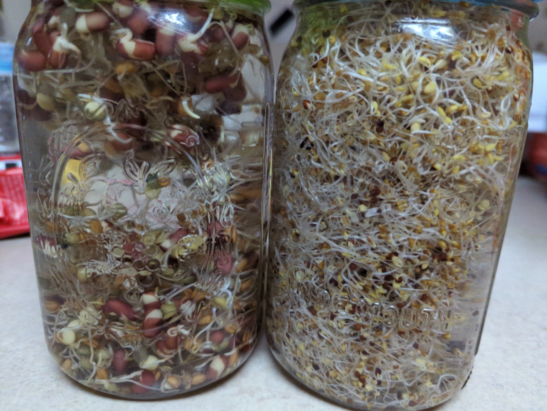 SPROUTS  🌱🌱🌱