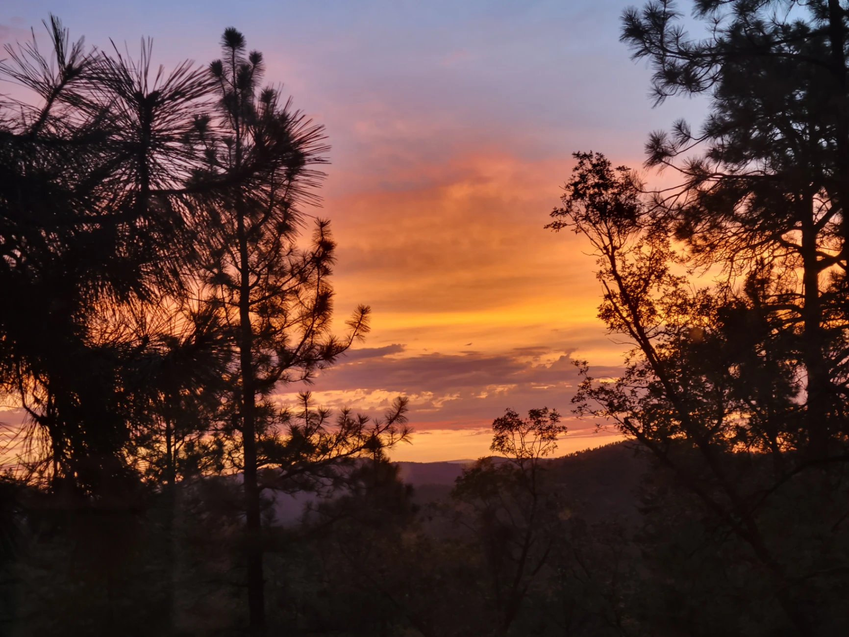 Following up from yesterday