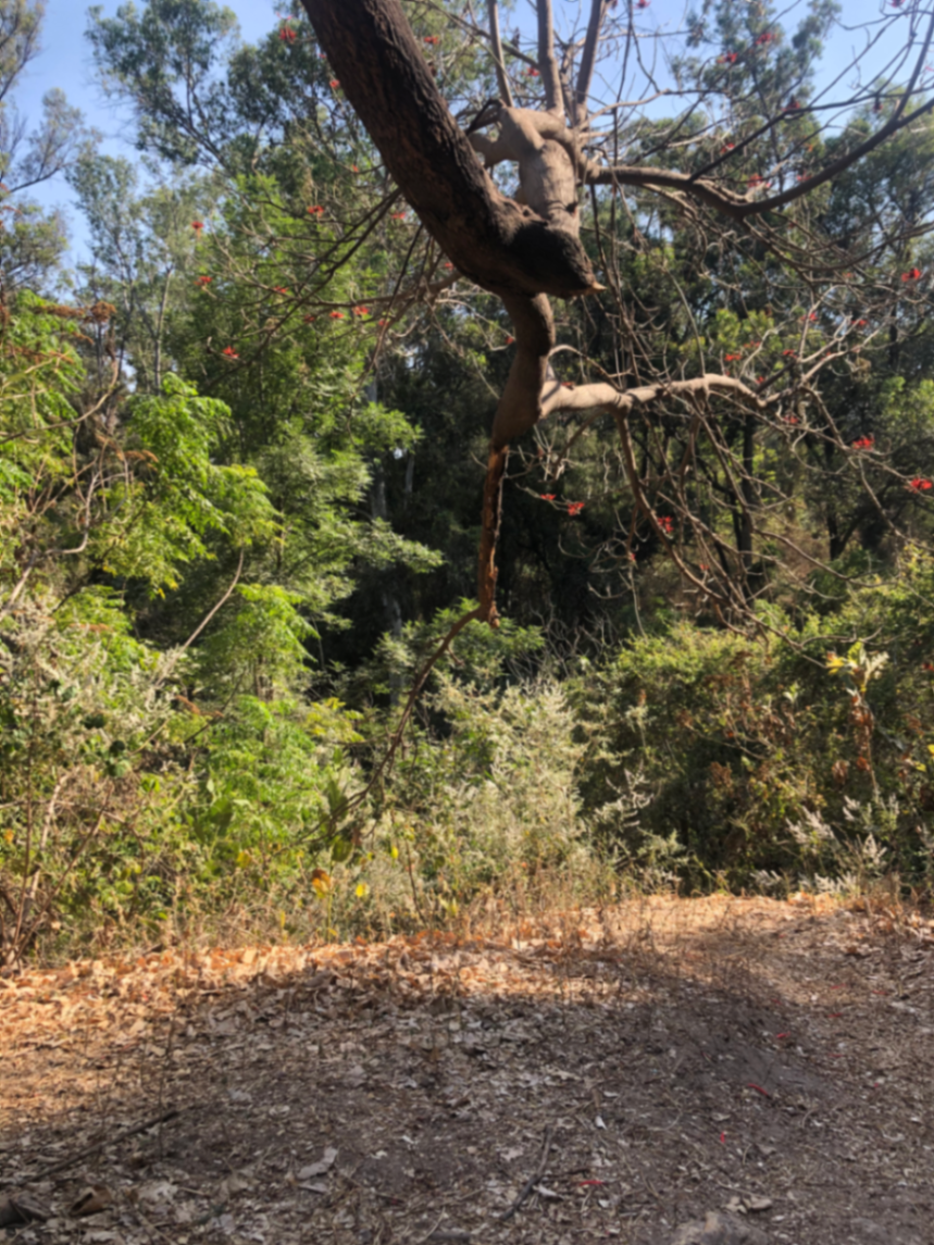 3 Simple Ways to Use Technology In Your Garden