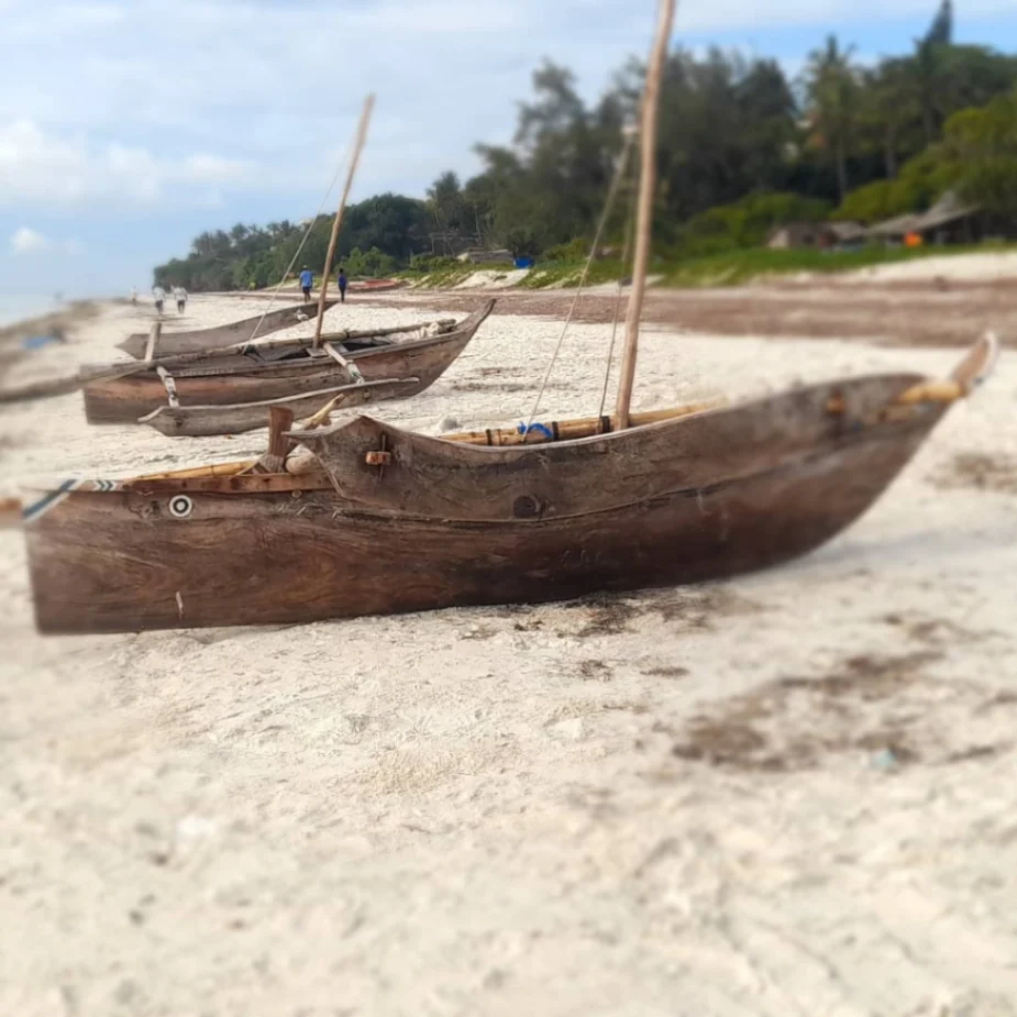 Top 10 Attractions in The Coast of Kenya