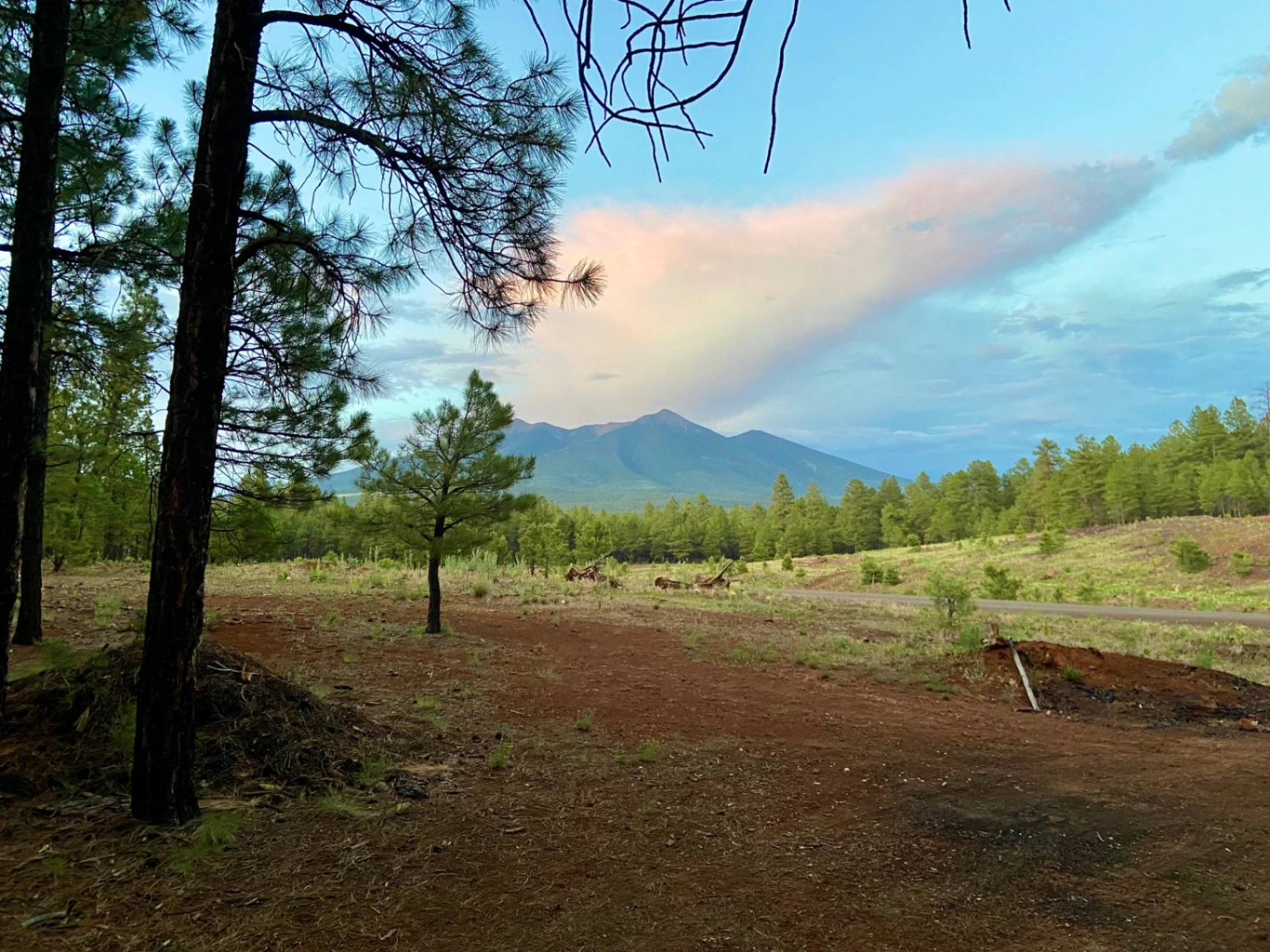 10 Observations from Camping in the Woods for the Last Week