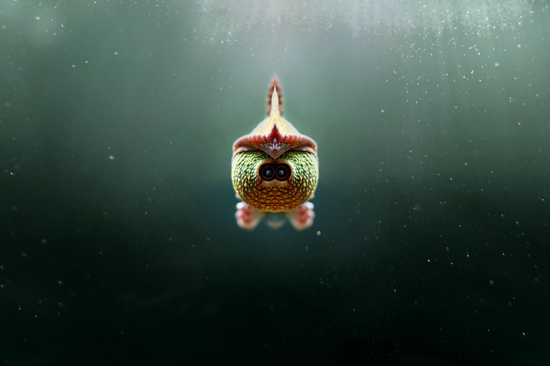 10 What-If Ideas / Questions For a Mental Workout