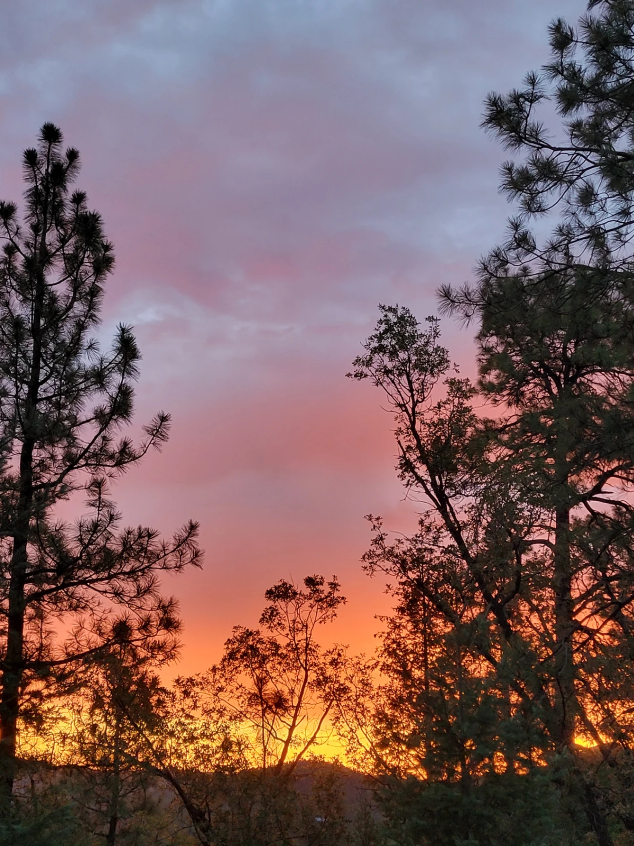 Orange sky this morning