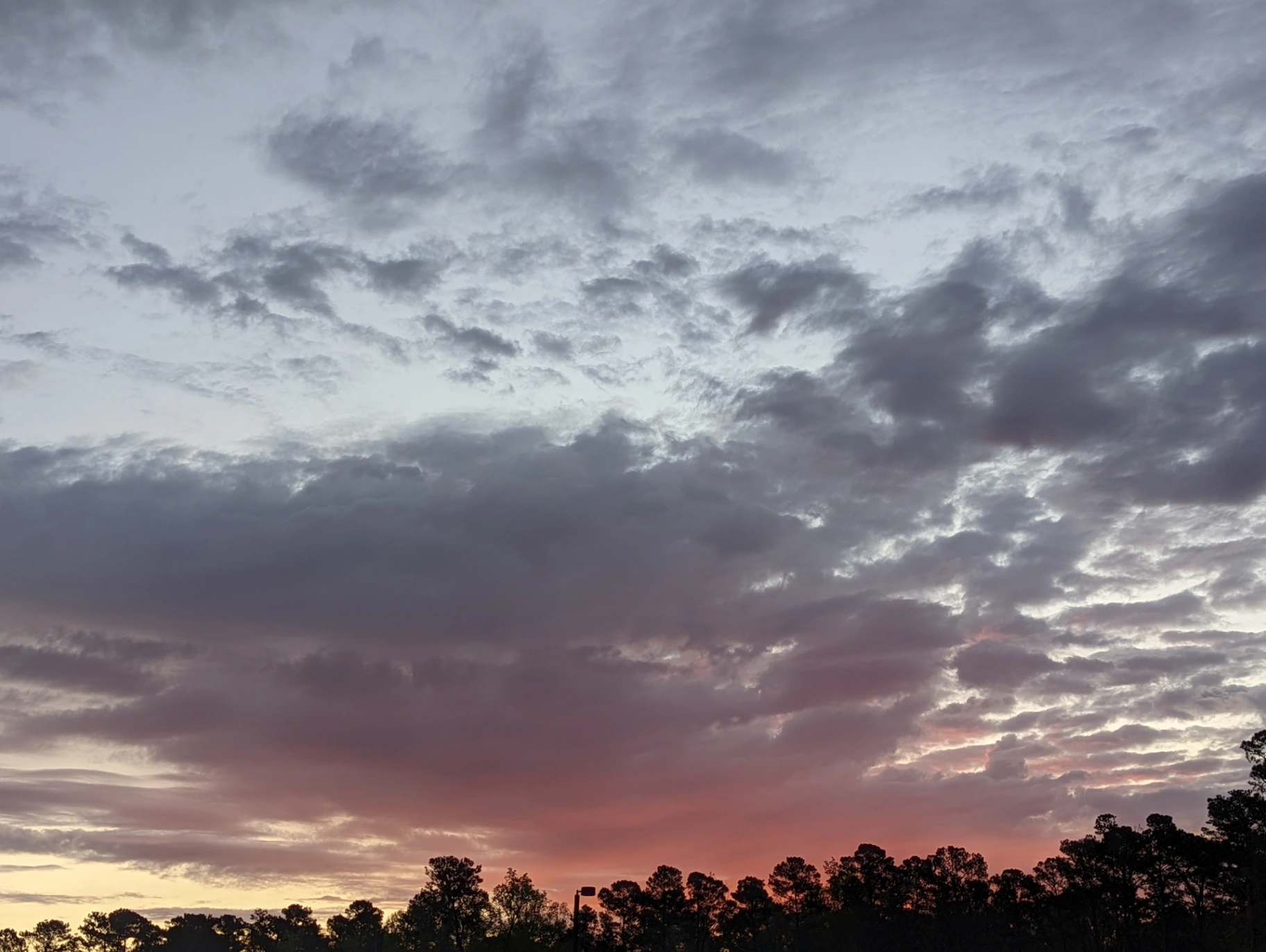 Random Ideas While Driving