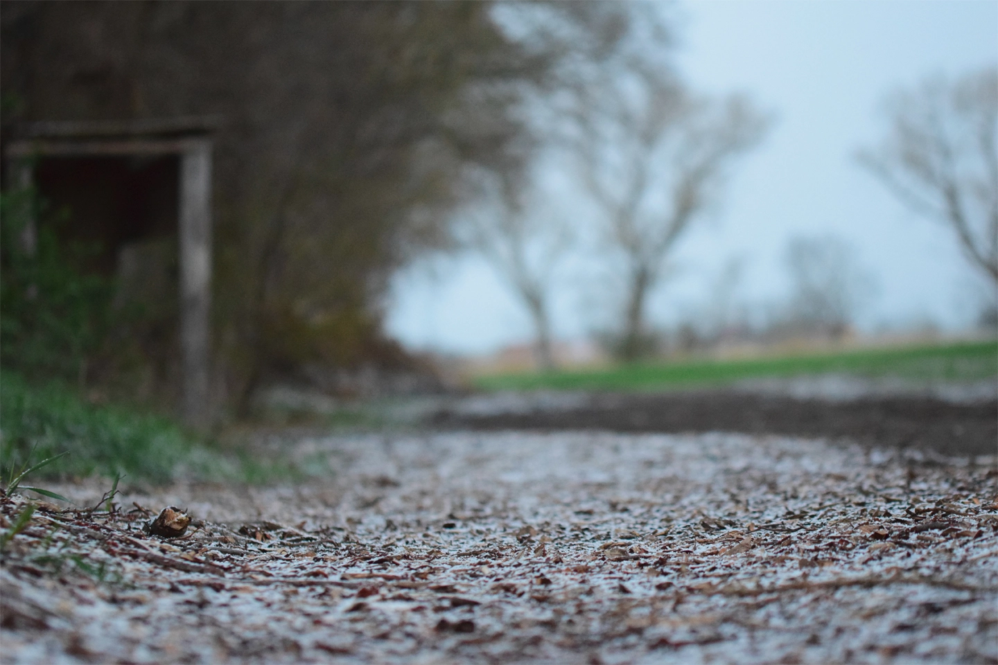12 Bittersweet Songs to Open Your Heart to the Terrible Beauty of Life