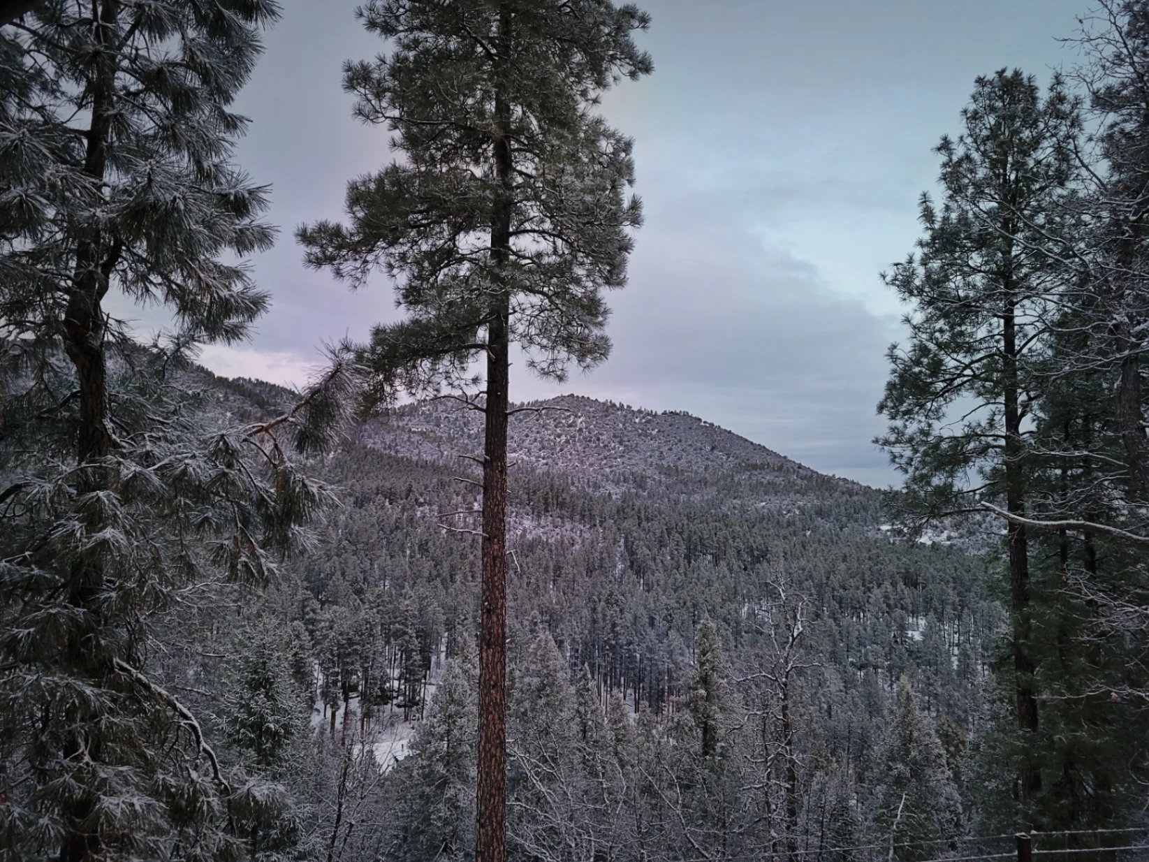 City-life or Suburbs - What do you prefer and Why?