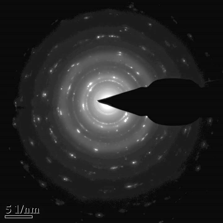 6 Things I hope for the world in the next 10 years.