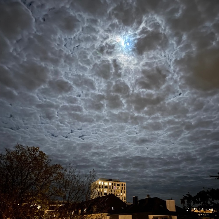 This sky