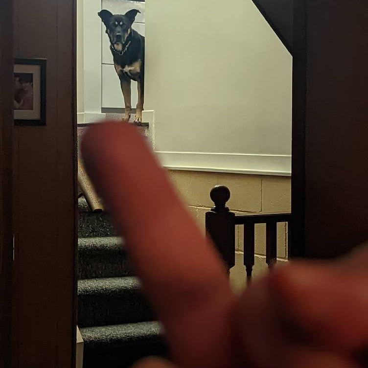 Our dog was getting lippy