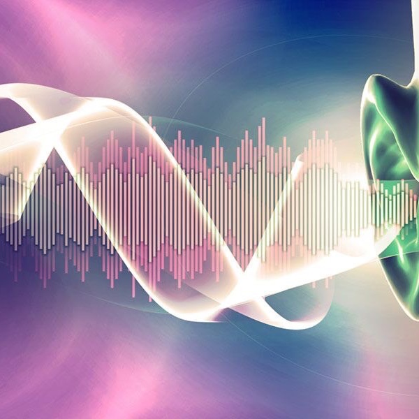 What Sounds Do You Hear Every Day?