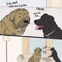 10 Ways to keep my dog active in the winter