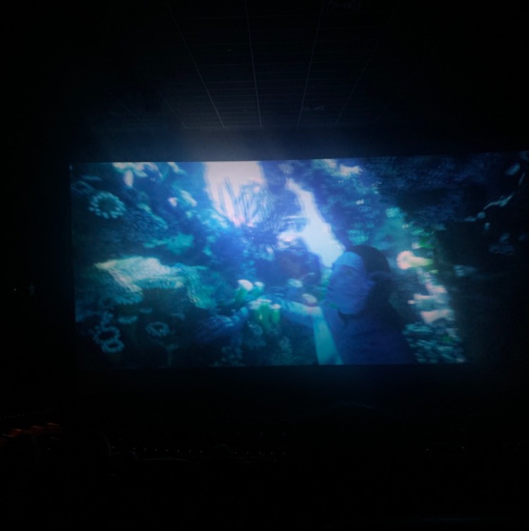 I saw a little film by a Canadian director, James Cameron, called Avatar, The Way of Water, and here’s what I learned from it.