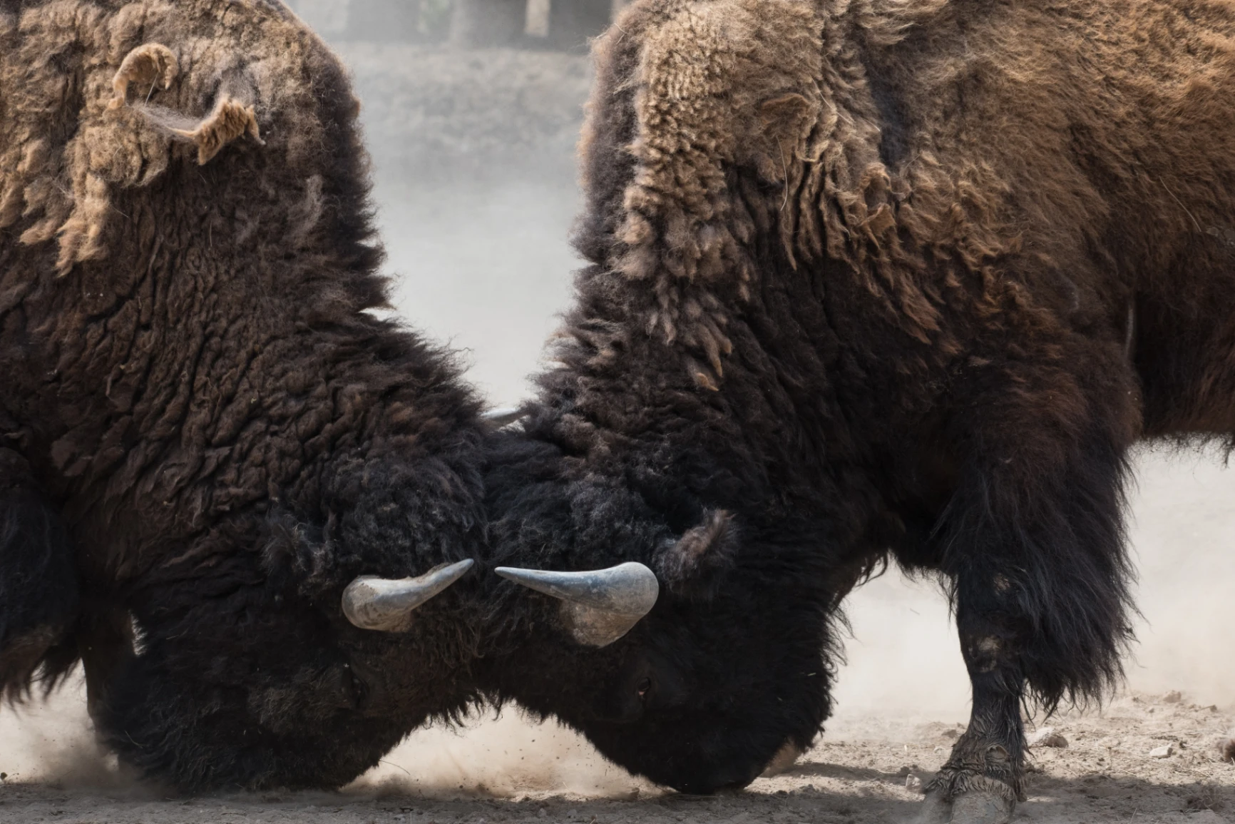 10 ways to respond when someone launches into a personal attack